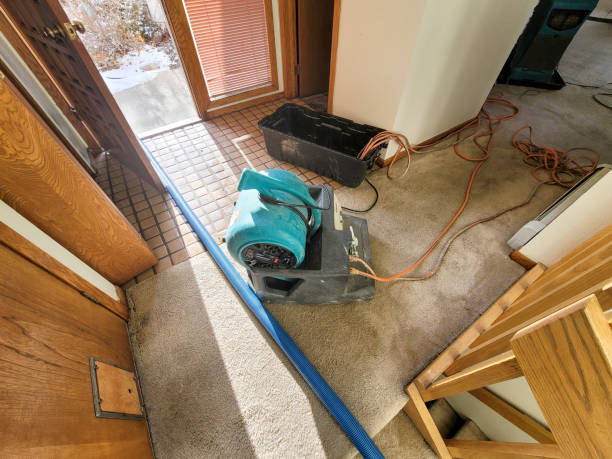 Professional Water damage restoration in OK