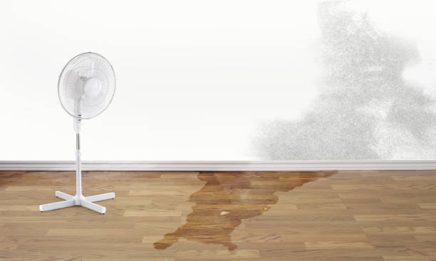 Best Sewage cleanup and water damage restoration  in Mccord, OK