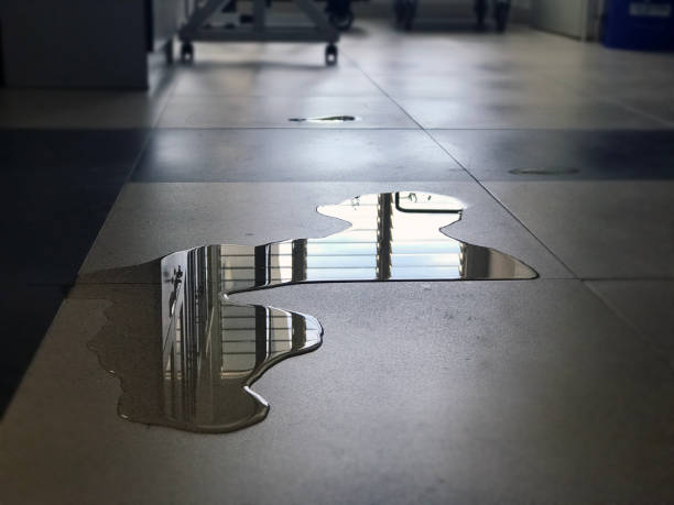 Best Carpet water damage restoration  in Mccord, OK