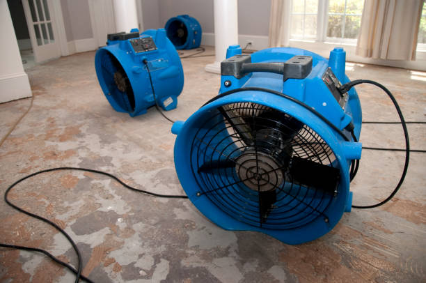 Best Basement water damage restoration  in Mccord, OK