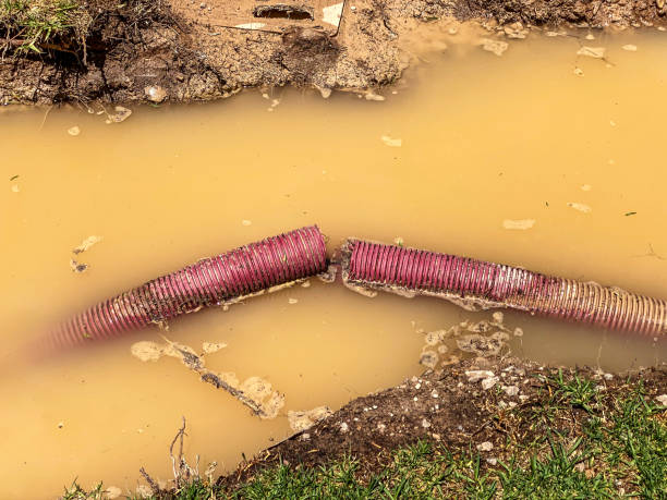 Best Water damage restoration near me  in Mccord, OK